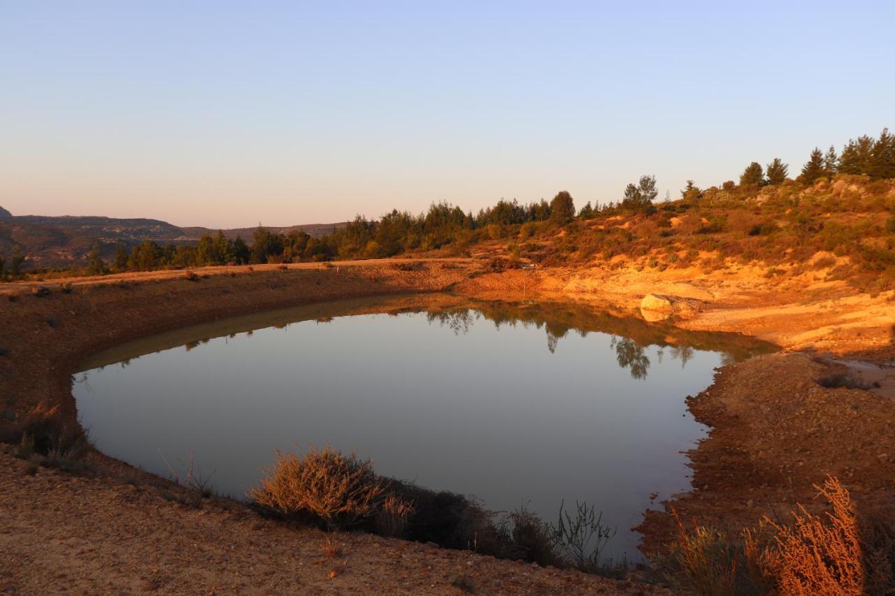 ホテル Highlands Eco Estate Piketberg エクステリア 写真