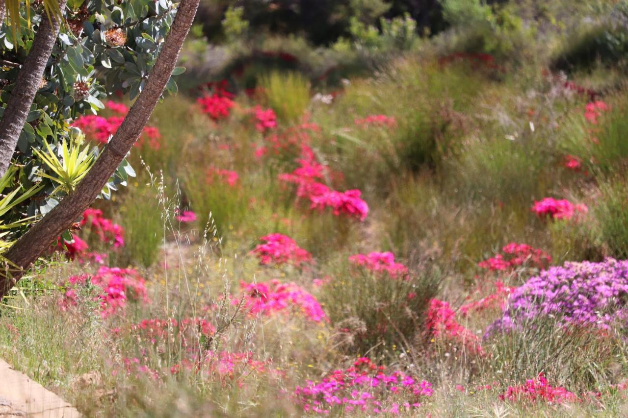 ホテル Highlands Eco Estate Piketberg エクステリア 写真