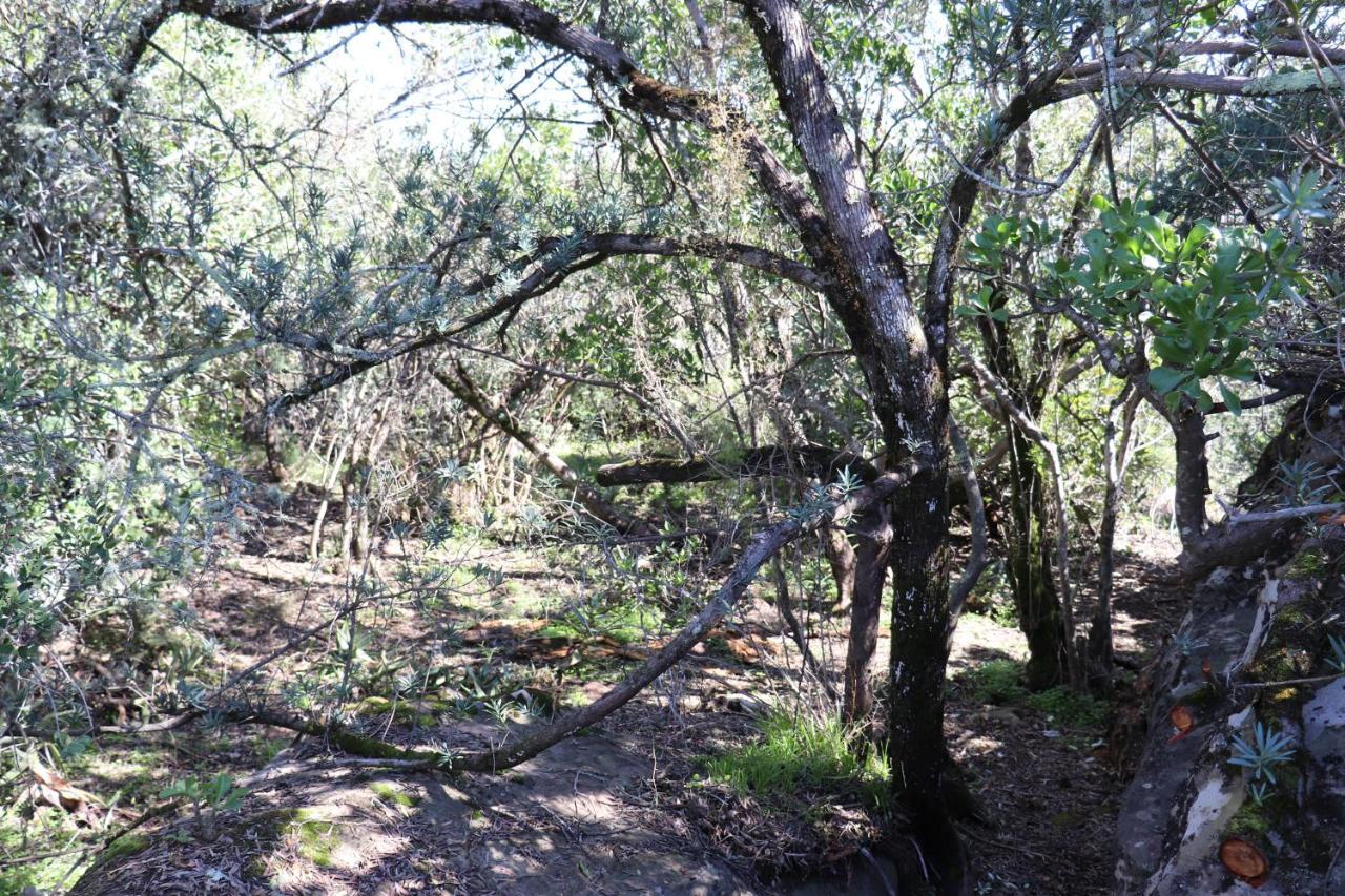 ホテル Highlands Eco Estate Piketberg エクステリア 写真