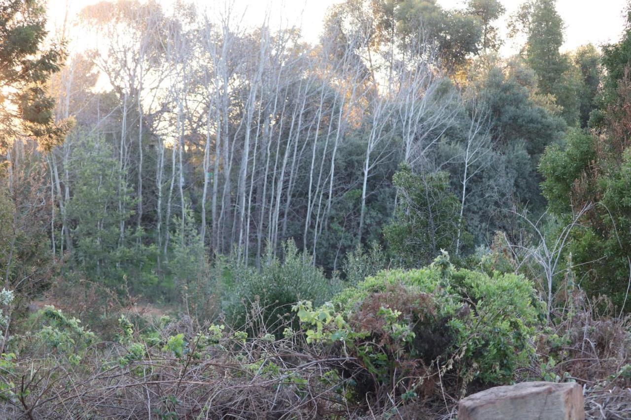 ホテル Highlands Eco Estate Piketberg エクステリア 写真