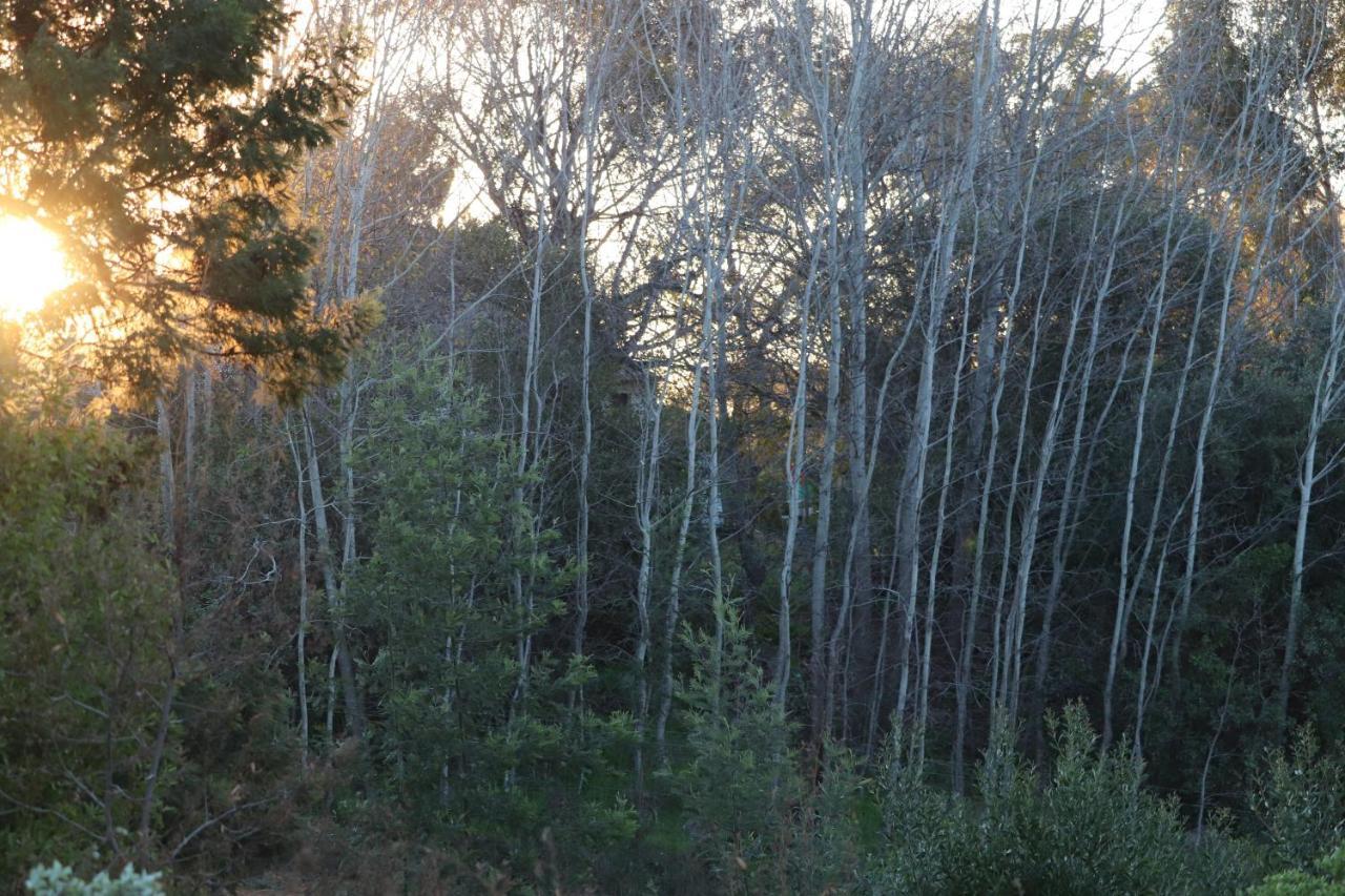 ホテル Highlands Eco Estate Piketberg エクステリア 写真